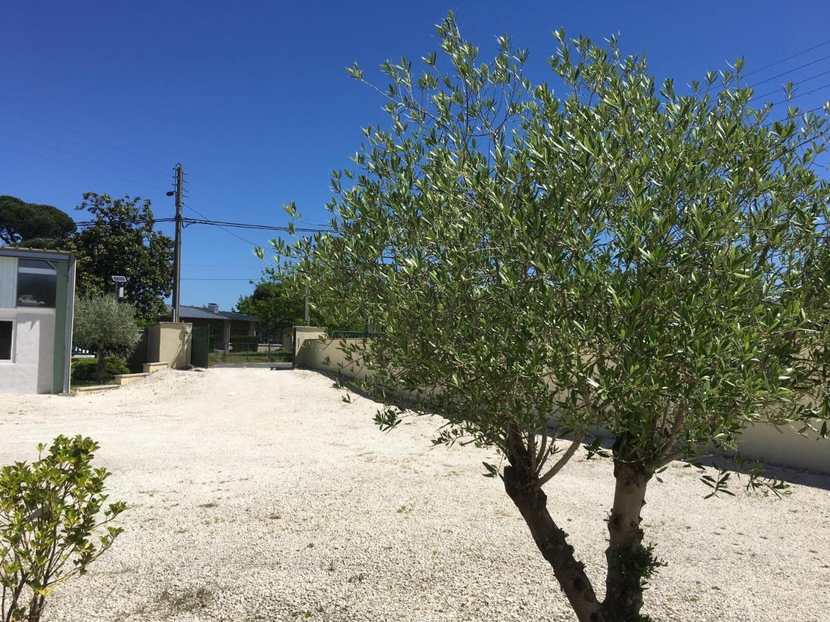 Une Pause A Bergerac Esterno foto